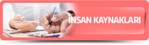 İnsan Kaynakları